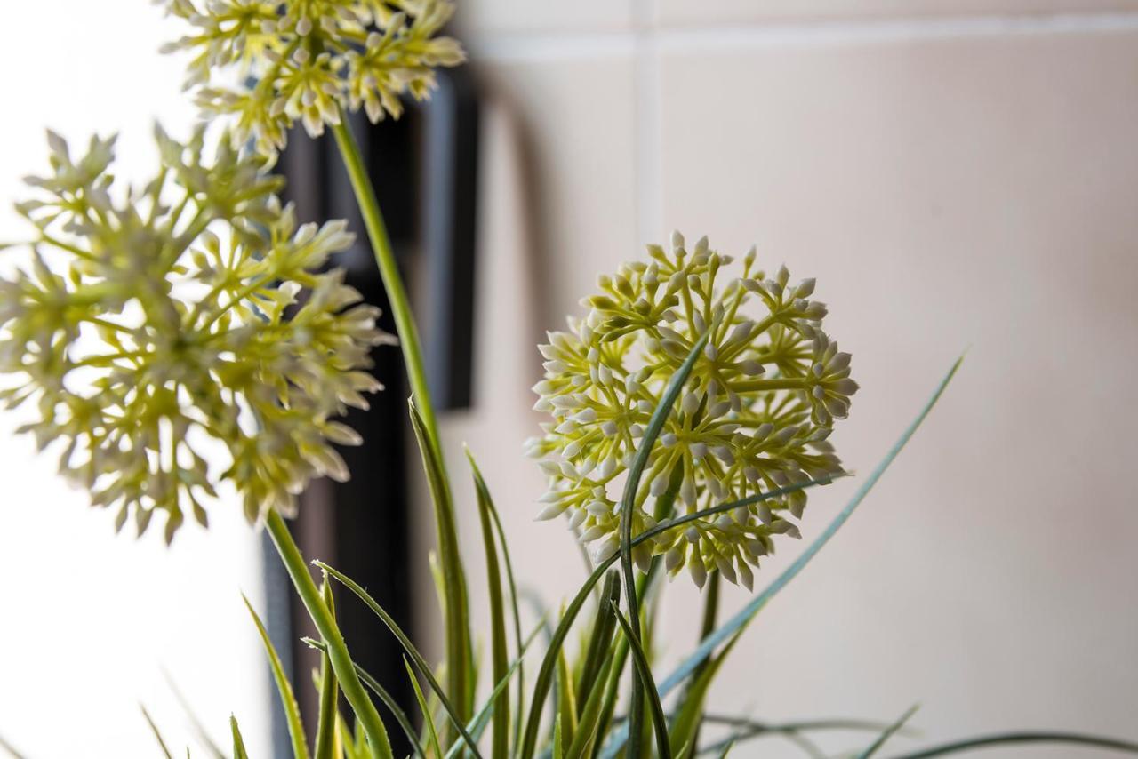 Colombina Like At Home 3 Bedrooms Fully Equipped Air Conditioned Venesia Bagian luar foto